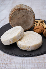 Cheese collection, fresh white soft cow cheese with mold from Swiss and tommette de savoie from France, cheese made in Alpine mountains