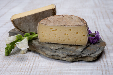Cheese collection, matured cow cheese with mold tommette de savoie from France, cheese made in Alpine mountains