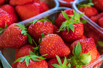Plastic boxes with ripe red sweet strawberries ready to eat
