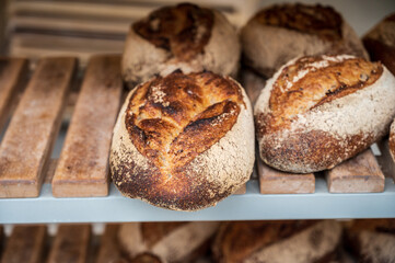 French bakery with fresh baked breads and buns