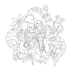 Contour linear illustration for coloring book with paradise birds in flowers. Tropic parrots,  anti stress picture. Line art design for adult or kids  in zen-tangle style, tattoo and coloring page.