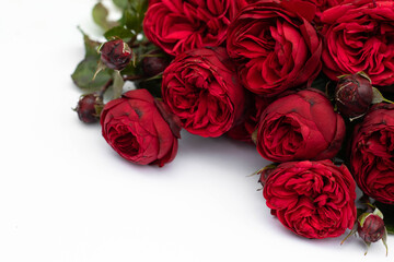 Red roses bouquet isolated on white background.