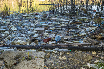 heaps of construction waste, household waste, foam and plastic bottles on the shore of a forest lake, environmental pollution problems