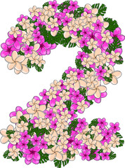figure two of tropical flowers
