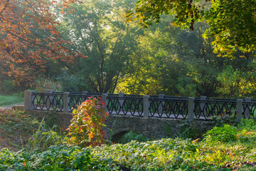 Decorative arched stone footbridge in autumn park