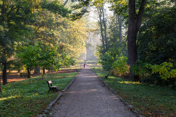 Footpath in old park with benches at autumn morning