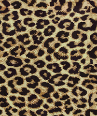 leopard fur texture. Animal skin seamless design - obrazy, fototapety, plakaty