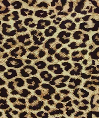 Foto op Canvas leopard fur texture. Animal skin seamless design © dicklaurent