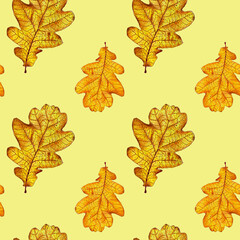 Oak leaves on a yellow background drawn with markers. For fabric, sketchbook, wallpaper, wrapping paper.
