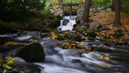 Fototapeta premium Yellow fallen leaves on the background of a waterfall