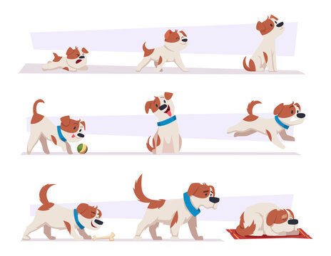 Dog growth stages. Cartoon domestic animal puppy life progress pictures happy active puppy and tired old dog exact vector illustration set