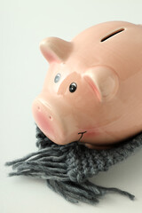 Piggy bank with knitted scarf on white background