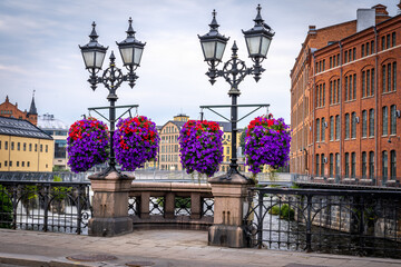 Beautiful Cityscape View Purple Flowers