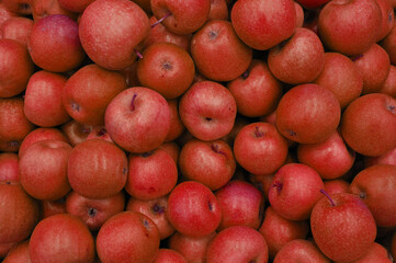 fresh garden red apple background
