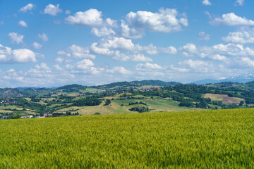 Landscape near the medieval castle of Torrechiata, Parma province, Italy