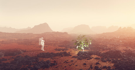 Astronaut finding a green plant on planet such as Mars