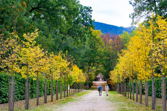 Older Couple Walking Along A Path Full Of Dry Yellow And Brown Leaves From Autumn In Segovia, Spain. Europe. Horizontal Photography. Background For The Autumn Equinox. Autumn Equinox 2022.