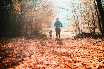 Fototapeta premium happy dog and man playing in autumn forest