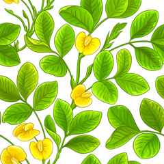 peanut vector pattern on white background