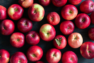 Imperfect red apples on a dark background. Bulk. Top view. Seasonal apples. Russia, Chekhov.