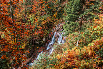 Autumn landscape with a forest waterfall.