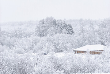 Wooden house in a snowy winter forest. Concept cottagecore and slowing-down.