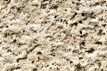 texture of porous stone. texture of shell rock