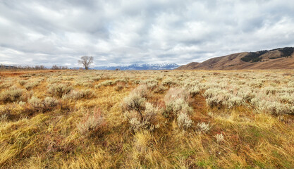 Grand Teton National Park, Wyoming, USA.