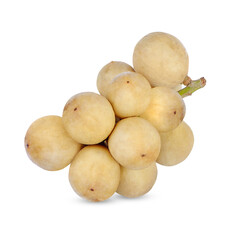 Wollongong isolated on white background