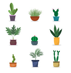 A collection of indoor plants and flowers in the pots on plain background, flat vector illustration