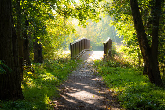 Brücke im Wald an zwischen Sommer und Herbst