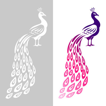 Peacock wedding symbol. Abstract peecoock design cutting signs, monochrome and color decorative peachock birds, indian noble plume peacocck drawn animal with feathers ornament for logo