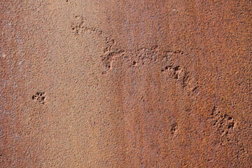 rusty metal texture