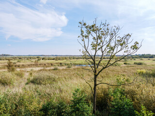 Fototapeta na wymiar View of National Park Alde Feanen in Friesland, Netherlands