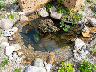 Small newly installed garden pond with bubbling rock, pebbles, gravel and fresh planting in garden