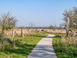 People walking in nature reserve Oostvaardersplassen, Flevoland, Netherlands