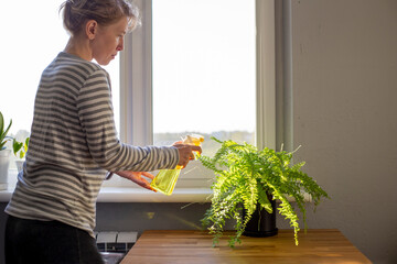 Woman sprays potted fern with yellow water sprayer, on wooden table near the window © Oksana