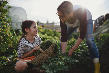 Happy little girl with mother working outdoors at community farm.