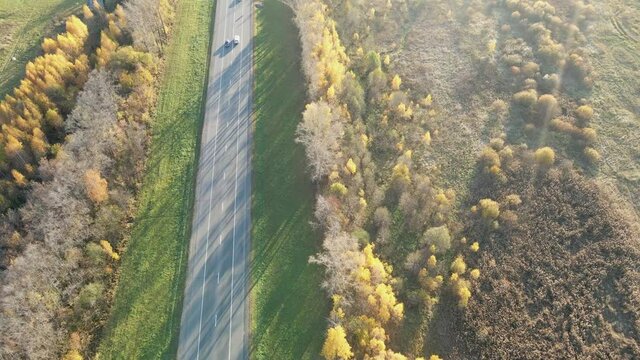 road passing through the forest in autumn at sunset on which cars drive