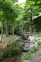 北沢川緑道（区立せせらぎ公園・東京都世田谷区）