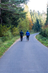 Fototapeta premium Two mans walking together on a forest road.