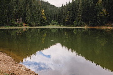 Obraz premium ukrainian carpathian lake synevyr
