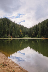 Fototapeta premium ukrainian carpathian lake synevyr