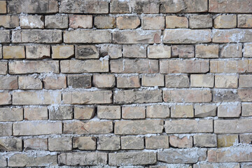 Fototapeta premium Brick wall
