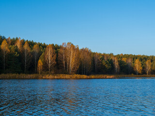 Obraz premium Colorful autumn forest by the lake
