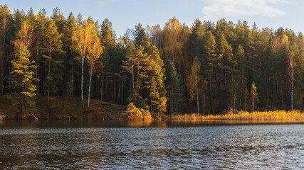 Colorful autumn forest by the lake