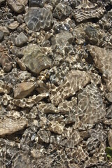 stone wall background