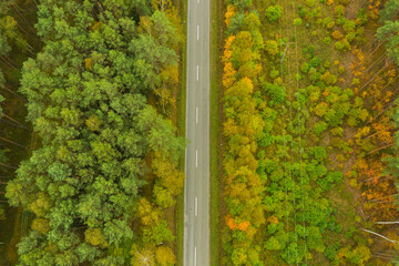 Prosta droga przez sosnowy las. Widok z drona.