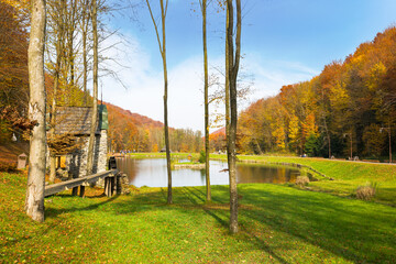 Obraz premium autumn scenery in the park. trees in fall foliage. beautiful landscape in mountains on a sunny day