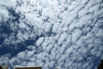 Fototapeta premium sky with white clouds on a hot day